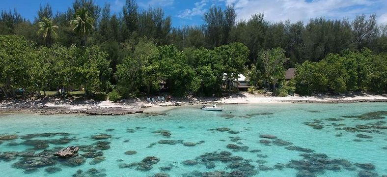 Surf in Moorea near Dream Island - photo 5