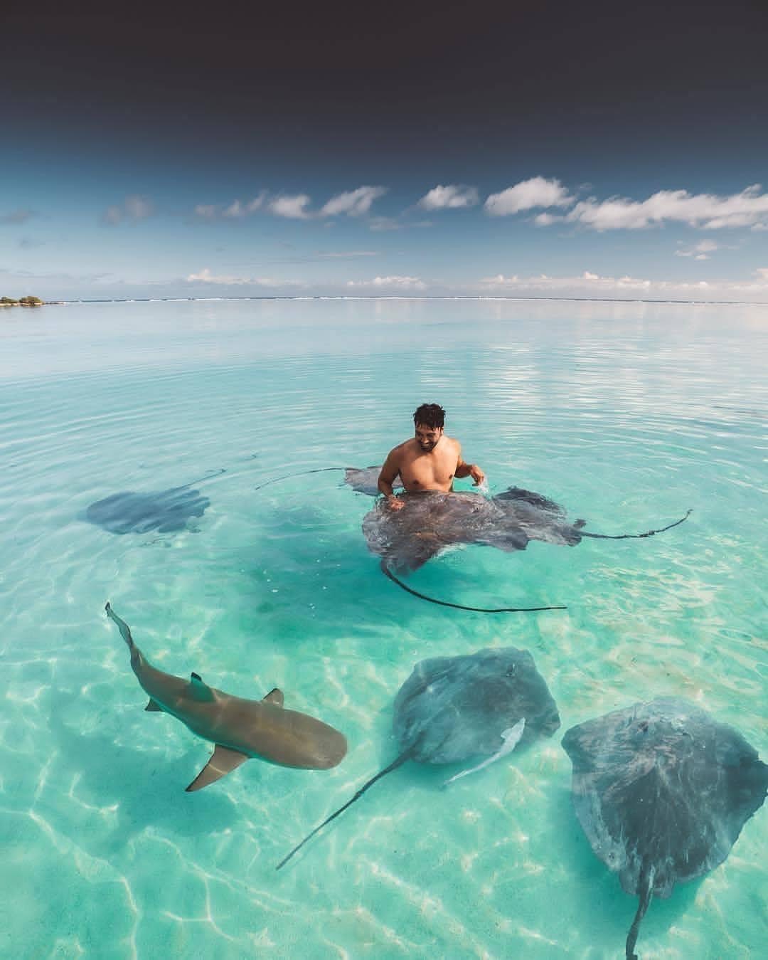 Surf in Moorea near Dream Island - photo 14